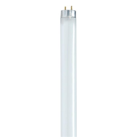 SATCO 17W T8 24 in. Cool White Fluorescent Bulb Linear; 1450 Lumens 3838216